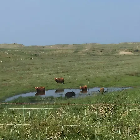 Vakantiepark In De Luwte